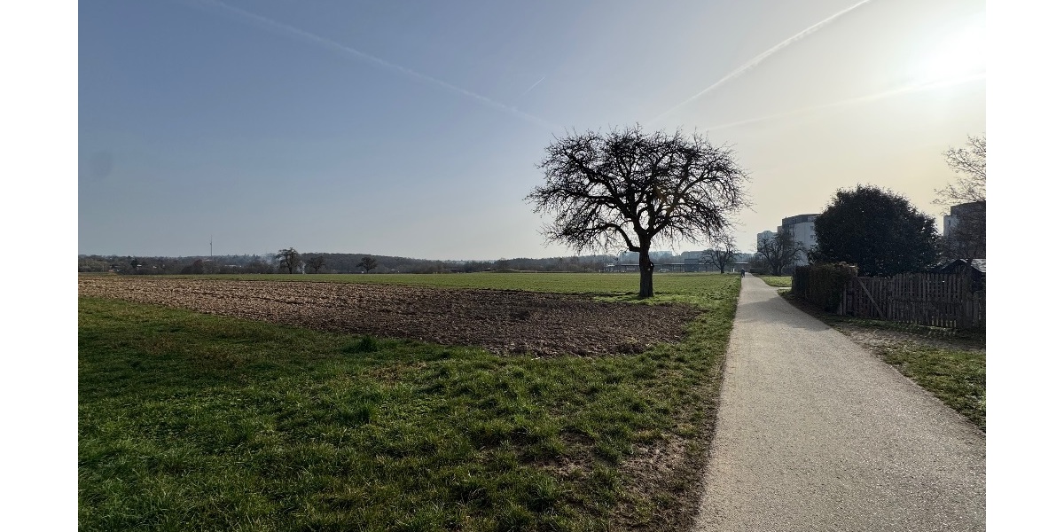 Feldweg und Wiesen